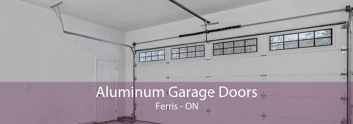 Aluminum Garage Doors Ferris - ON