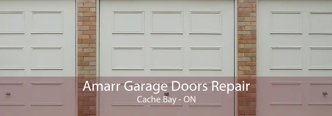 Amarr Garage Doors Repair Cache Bay - ON