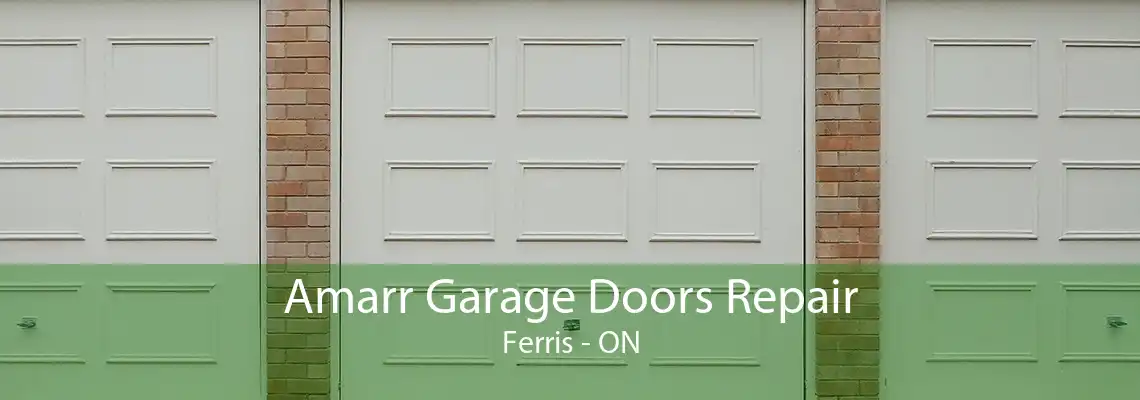 Amarr Garage Doors Repair Ferris - ON