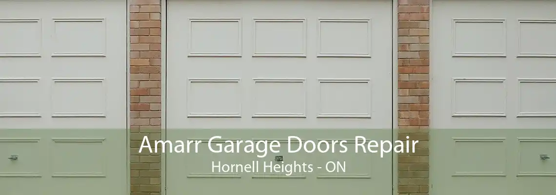Amarr Garage Doors Repair Hornell Heights - ON