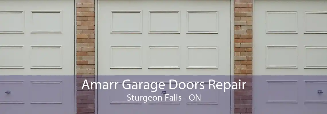 Amarr Garage Doors Repair Sturgeon Falls - ON
