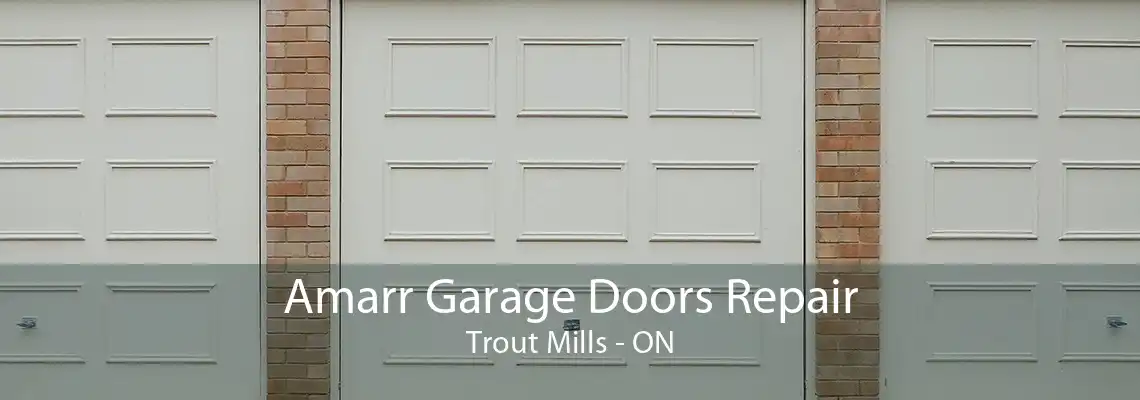 Amarr Garage Doors Repair Trout Mills - ON