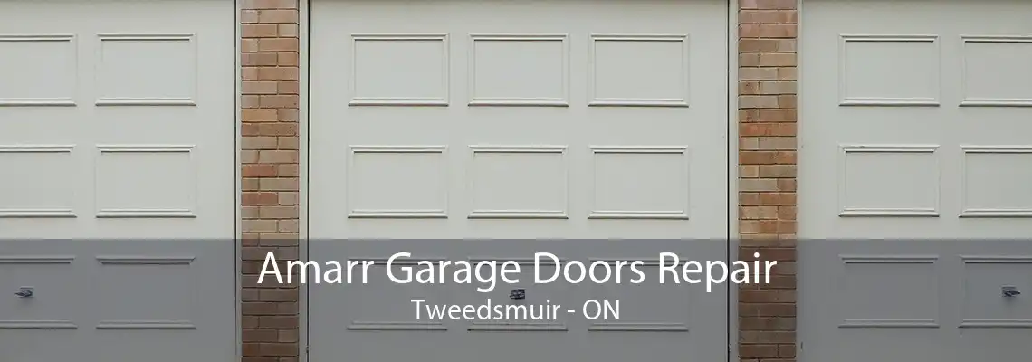Amarr Garage Doors Repair Tweedsmuir - ON