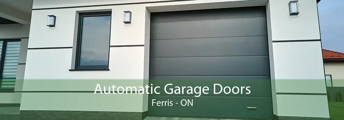 Automatic Garage Doors Ferris - ON