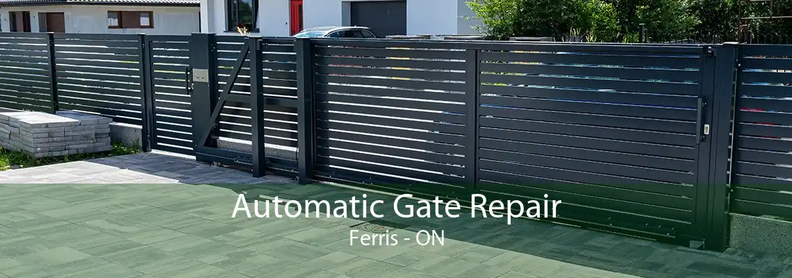 Automatic Gate Repair Ferris - ON