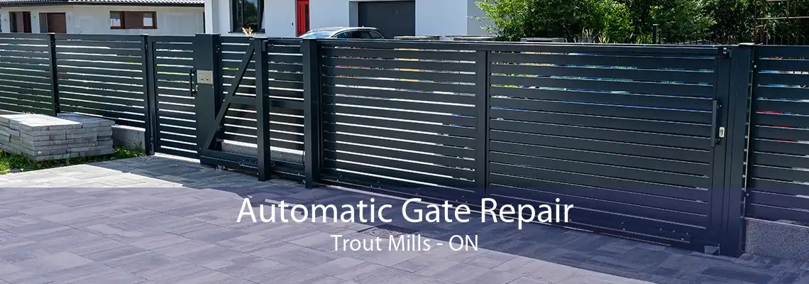 Automatic Gate Repair Trout Mills - ON