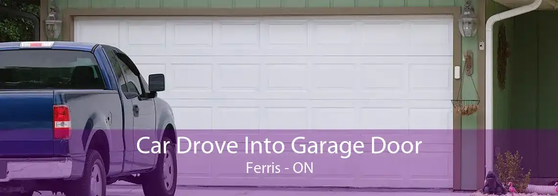 Car Drove Into Garage Door Ferris - ON