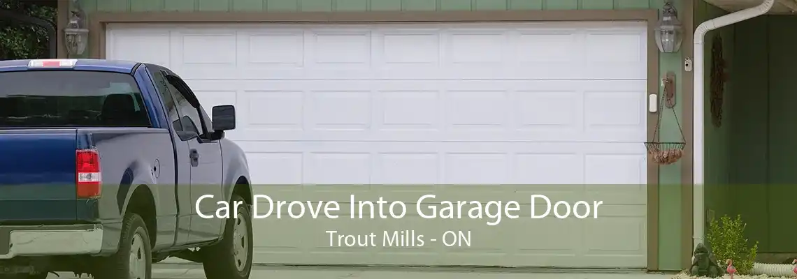 Car Drove Into Garage Door Trout Mills - ON