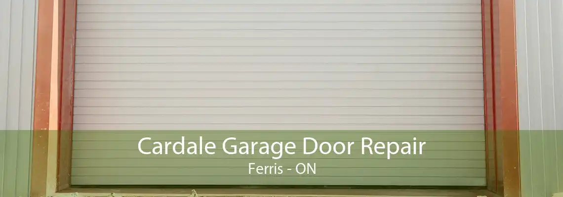 Cardale Garage Door Repair Ferris - ON