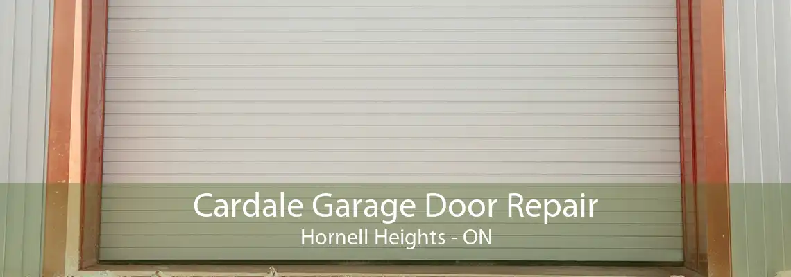 Cardale Garage Door Repair Hornell Heights - ON