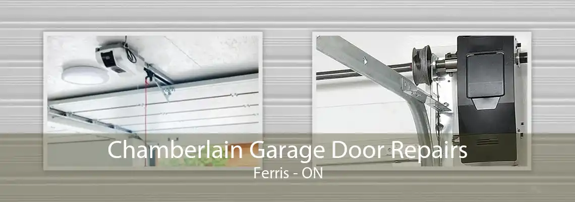 Chamberlain Garage Door Repairs Ferris - ON