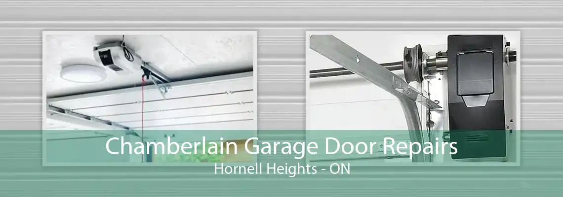 Chamberlain Garage Door Repairs Hornell Heights - ON