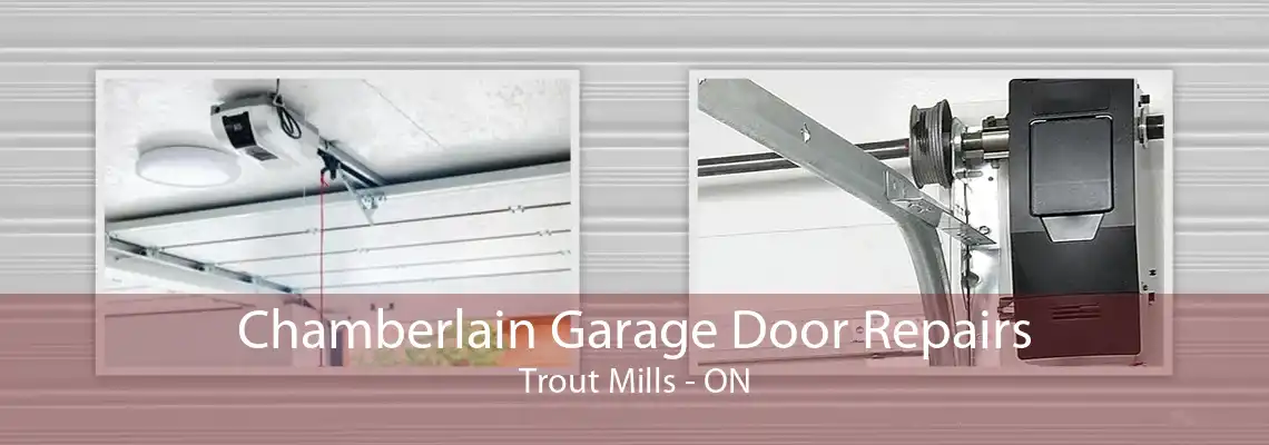 Chamberlain Garage Door Repairs Trout Mills - ON