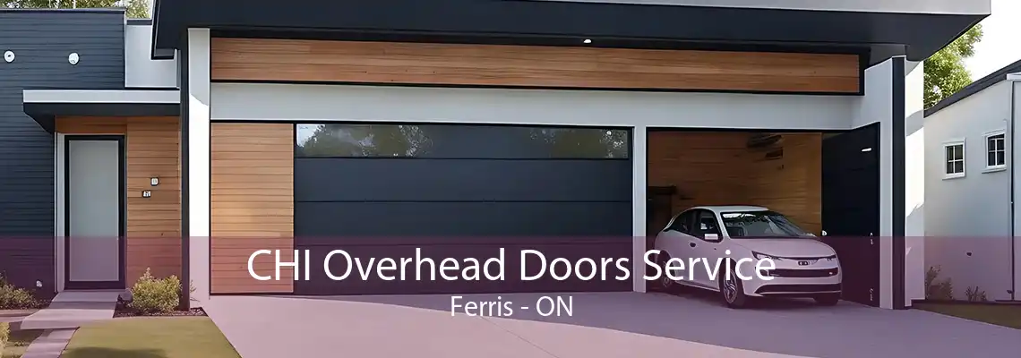 CHI Overhead Doors Service Ferris - ON