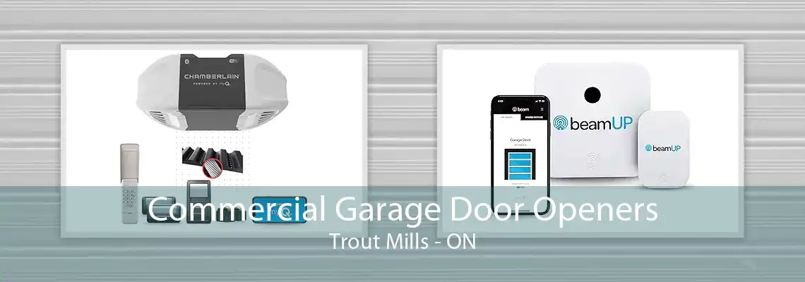 Commercial Garage Door Openers Trout Mills - ON