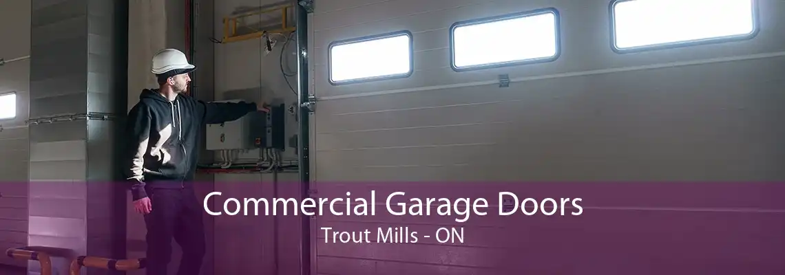 Commercial Garage Doors Trout Mills - ON