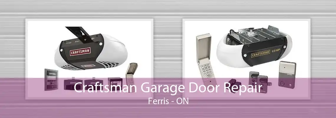 Craftsman Garage Door Repair Ferris - ON