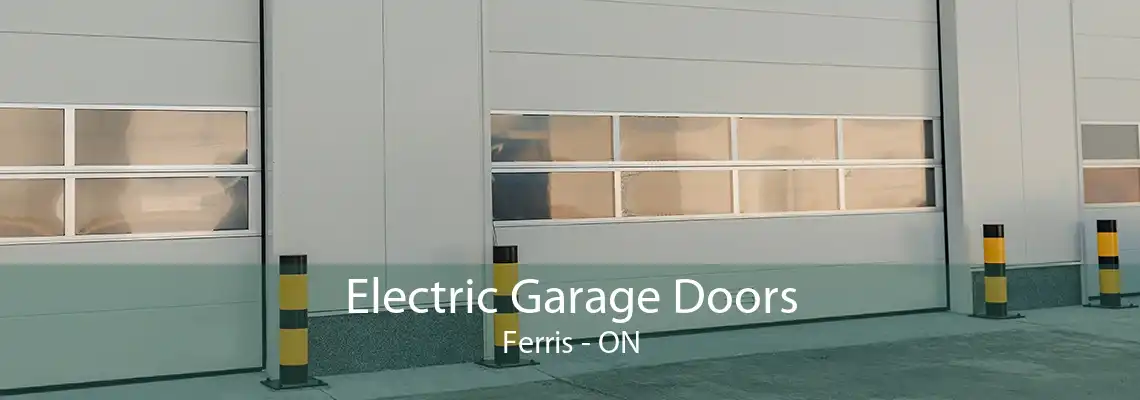 Electric Garage Doors Ferris - ON