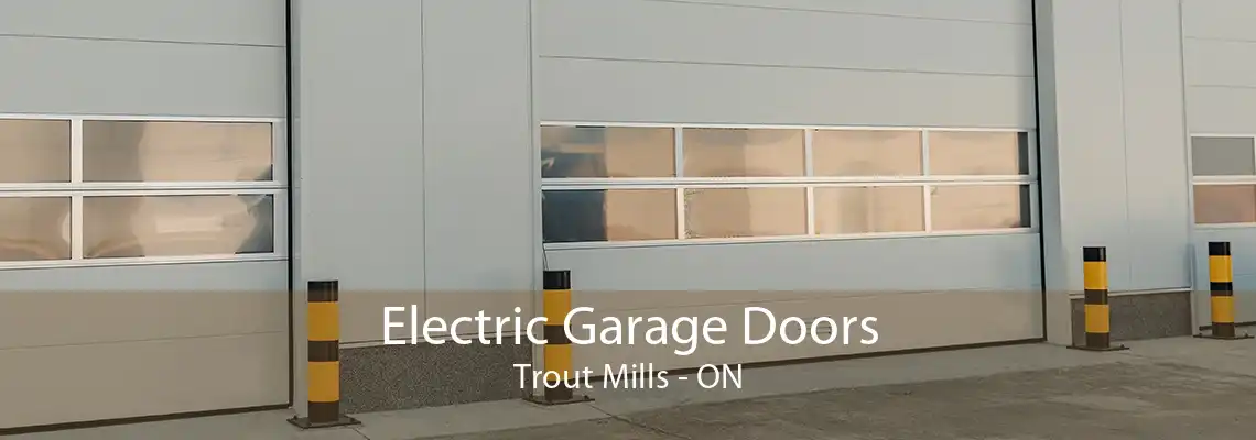 Electric Garage Doors Trout Mills - ON