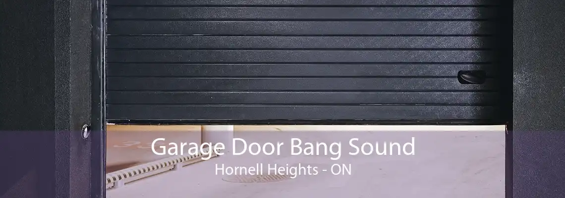 Garage Door Bang Sound Hornell Heights - ON