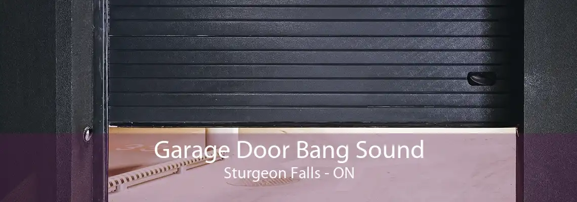 Garage Door Bang Sound Sturgeon Falls - ON