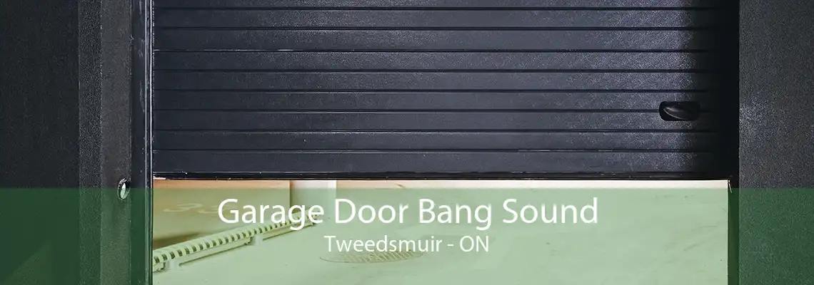 Garage Door Bang Sound Tweedsmuir - ON