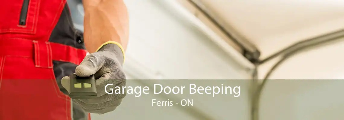 Garage Door Beeping Ferris - ON