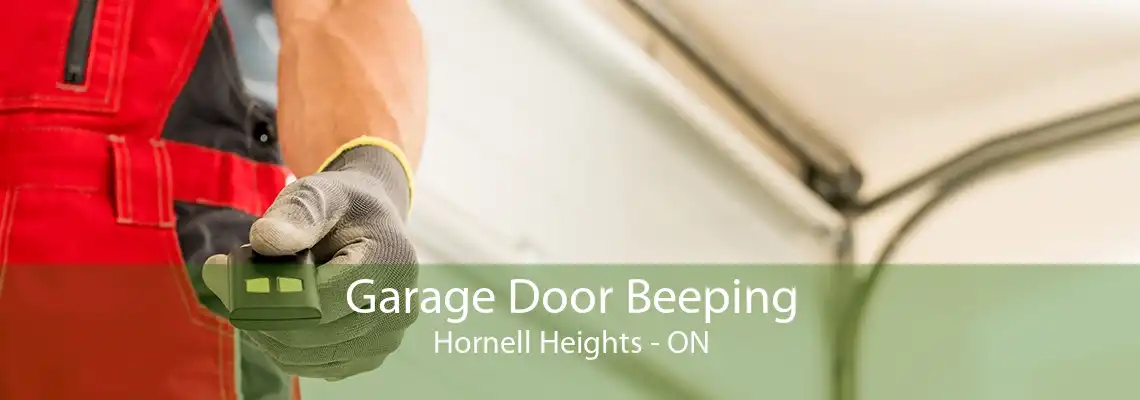 Garage Door Beeping Hornell Heights - ON