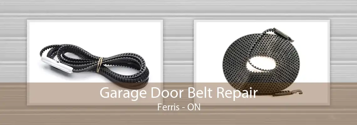 Garage Door Belt Repair Ferris - ON