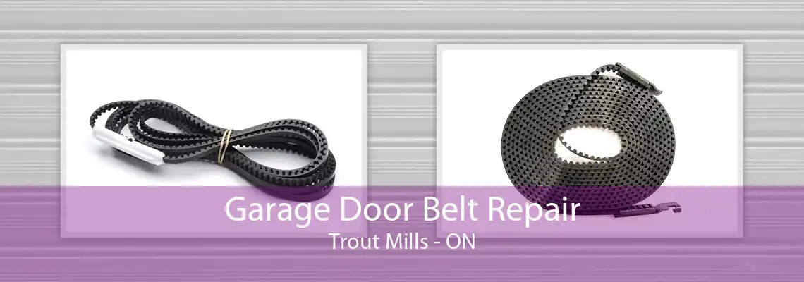 Garage Door Belt Repair Trout Mills - ON