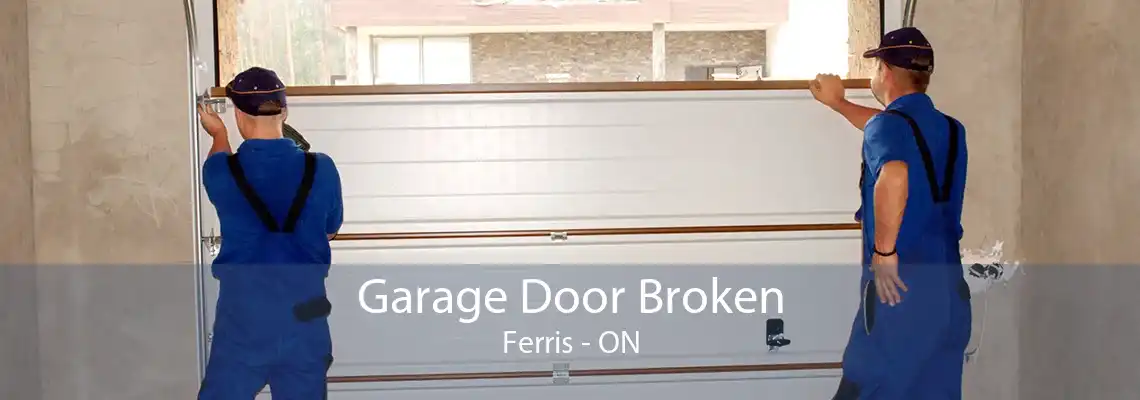 Garage Door Broken Ferris - ON