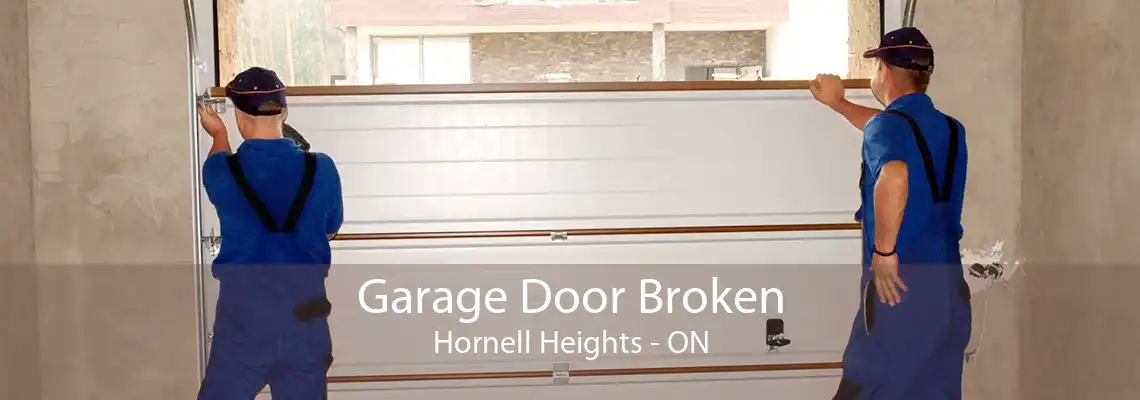 Garage Door Broken Hornell Heights - ON