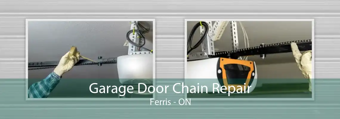 Garage Door Chain Repair Ferris - ON