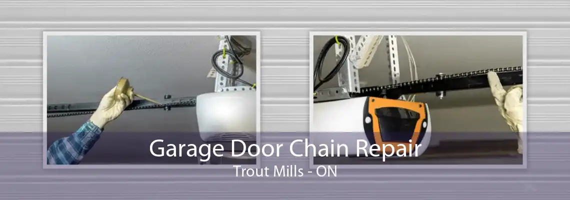 Garage Door Chain Repair Trout Mills - ON