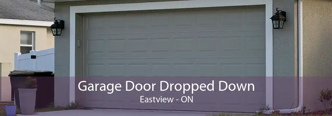 Garage Door Dropped Down Eastview - ON