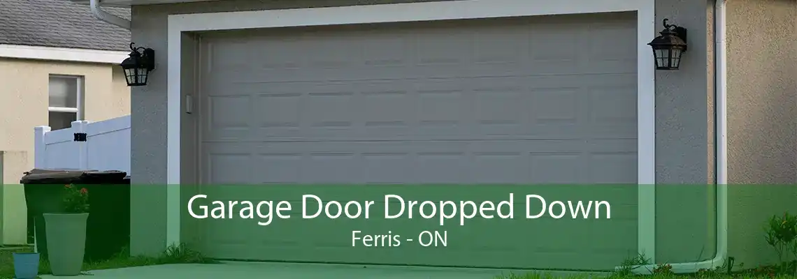 Garage Door Dropped Down Ferris - ON
