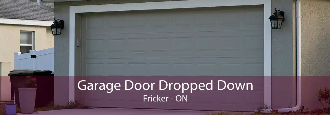Garage Door Dropped Down Fricker - ON
