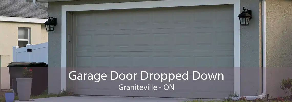 Garage Door Dropped Down Graniteville - ON