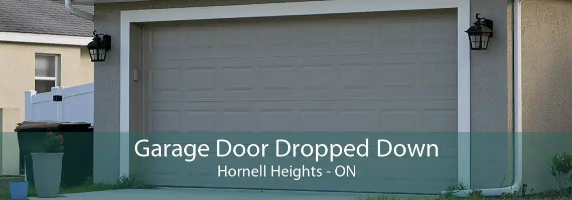 Garage Door Dropped Down Hornell Heights - ON