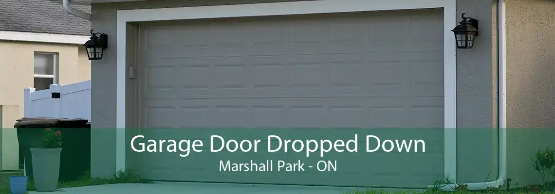 Garage Door Dropped Down Marshall Park - ON