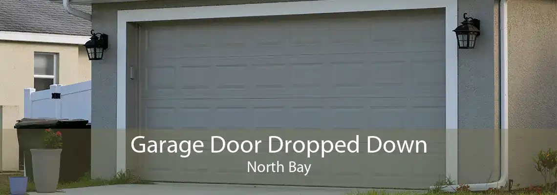 Garage Door Dropped Down North Bay