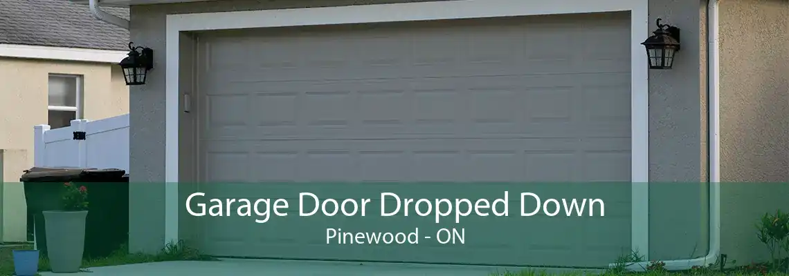 Garage Door Dropped Down Pinewood - ON