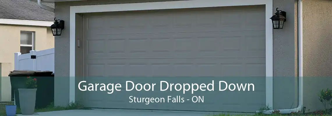 Garage Door Dropped Down Sturgeon Falls - ON