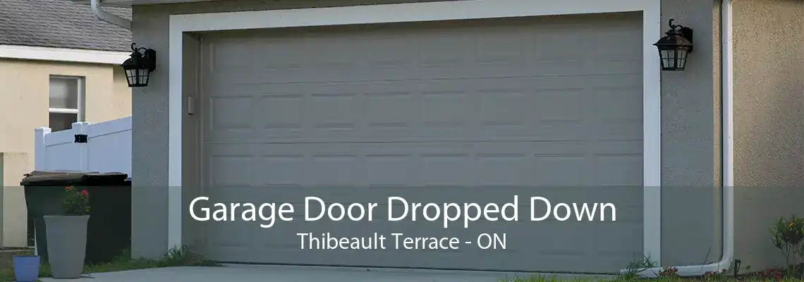 Garage Door Dropped Down Thibeault Terrace - ON