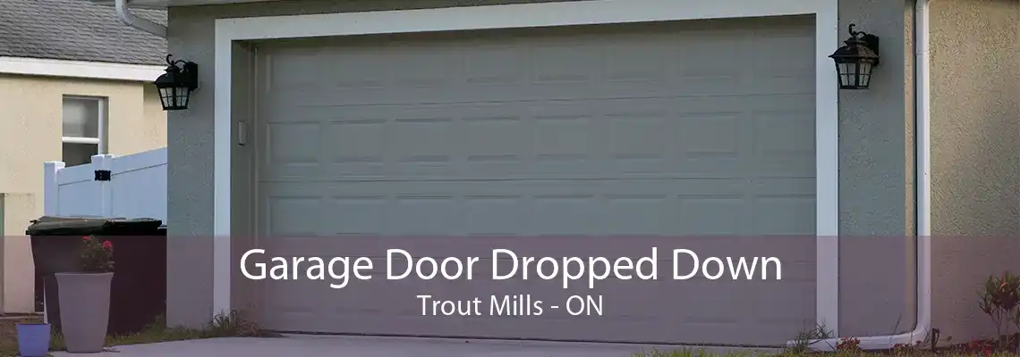 Garage Door Dropped Down Trout Mills - ON