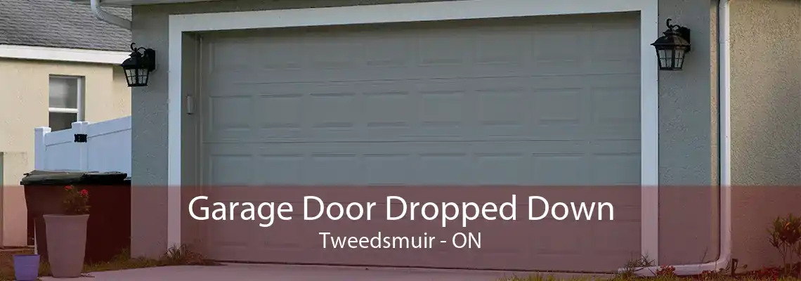 Garage Door Dropped Down Tweedsmuir - ON