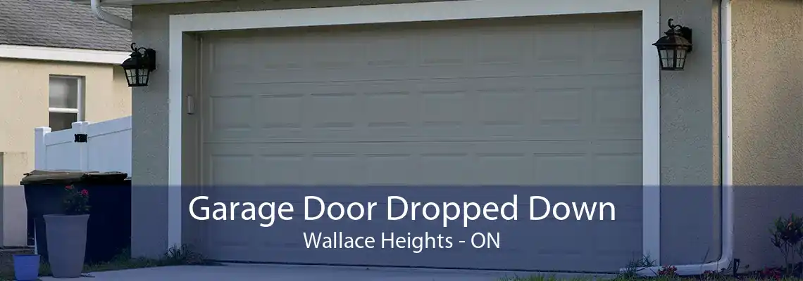 Garage Door Dropped Down Wallace Heights - ON