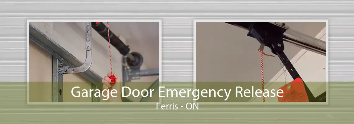 Garage Door Emergency Release Ferris - ON