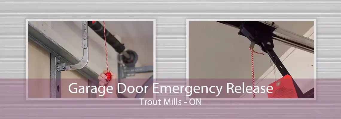 Garage Door Emergency Release Trout Mills - ON