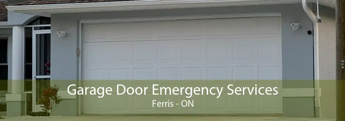Garage Door Emergency Services Ferris - ON